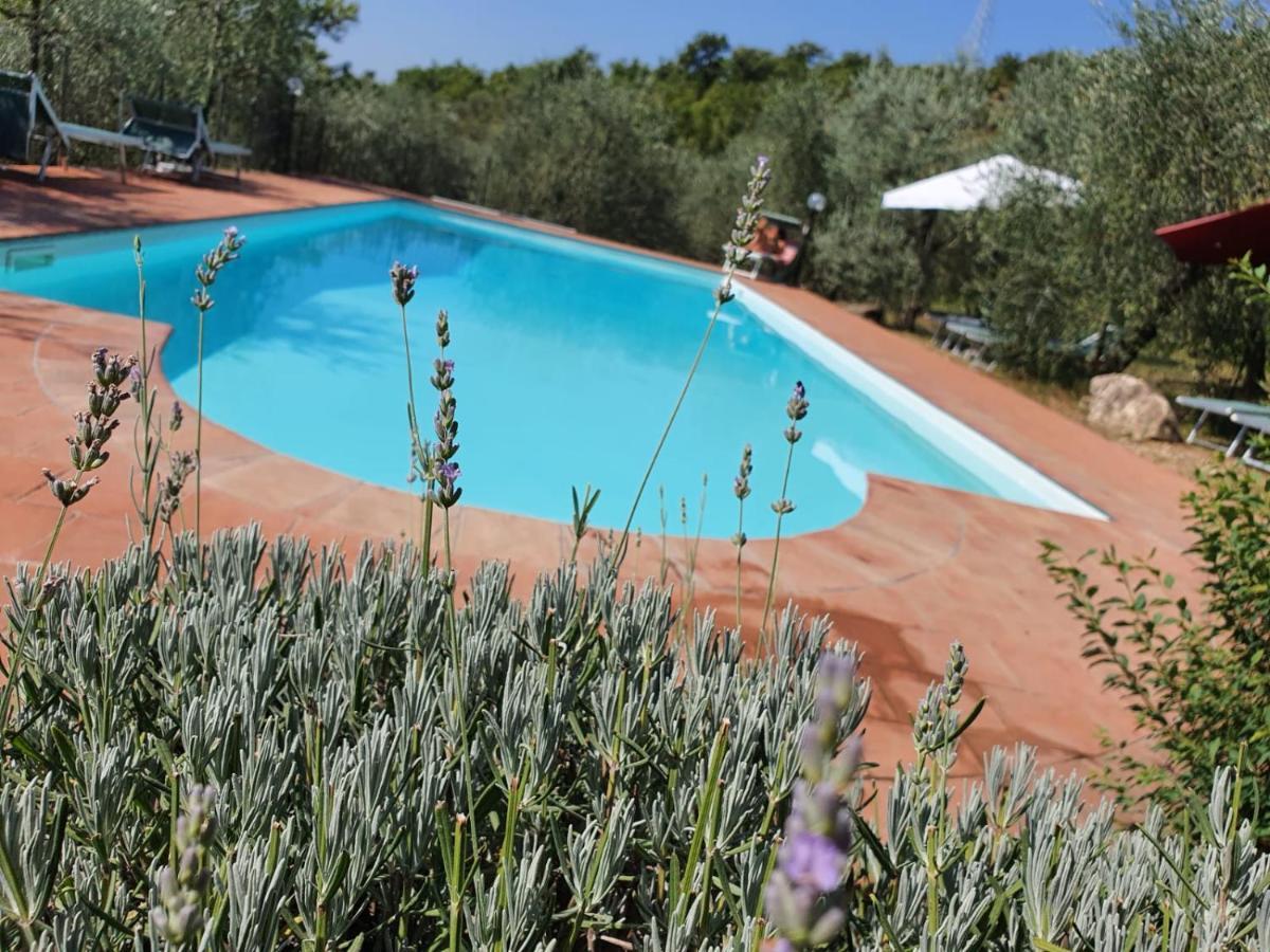 Alloggio per agriturismo Crocino In Chianti