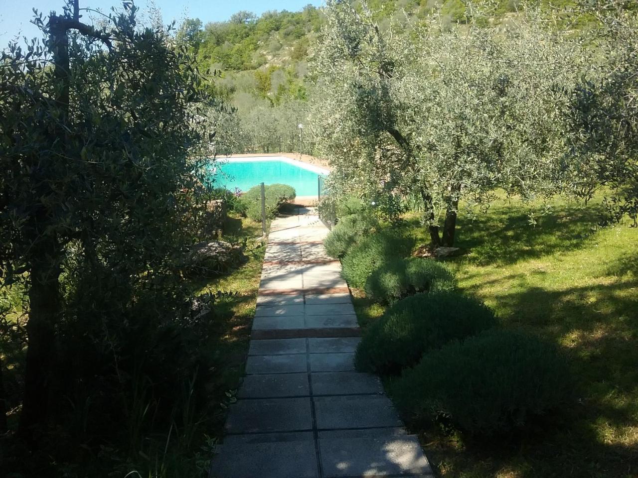 Crocino In Chianti Alloggio per agriturismo Gaiole in Chianti