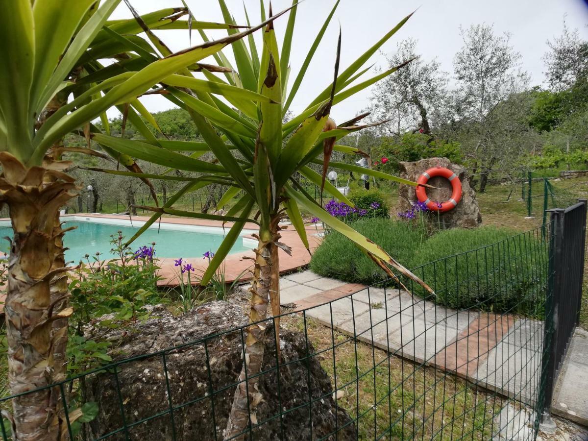 Alloggio per agriturismo Crocino In Chianti