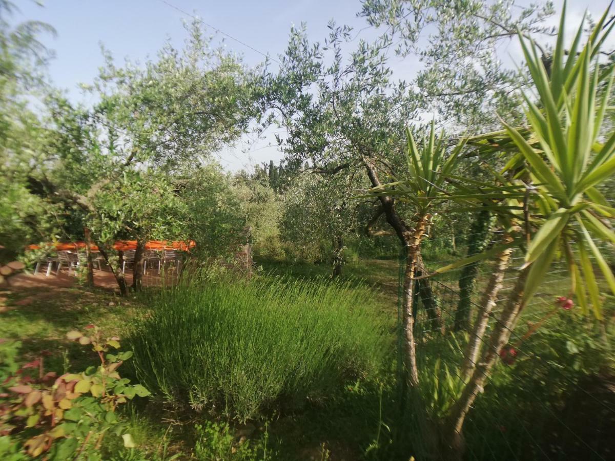 Vakantieboerderij 